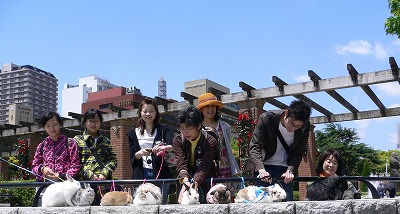 楽しくて勉強できてお買物特割特典あり入会プレゼントあり ワールドラビットファンクラブ入会 モルちゃん、フェレットちゃん、プレーリードック゛ちゃんもいますよ