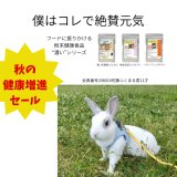 39%OFF秋の健康増進フェア おいしくて濃い ふりかけ粉剤健康食品 おすすめ シリンジで飲ませなくても大丈夫 ごはんにパラパラ簡単で濃い成分 これはいいです