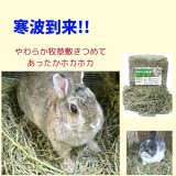 うさぎの防寒・寒さ対策 やわらか牧草最強