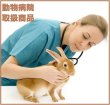 画像8: うさぎ 関節 歩行 高齢 足腰 植物性グルコサミンうさぎ足腰関節タブレット10g (8)