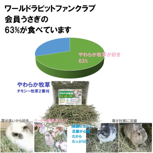 画像8: うさぎ やわらか牧草800g ×3個  チモシー2番刈  ふわふわ あったか 防寒 足腰 繊維質 (8)