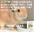 画像4: うさぎ えさ ラビットフード FAIRLY HEALTHY フェアリーヘルシー400g チモシー多めでそこそこおいしくて低カロリー (4)