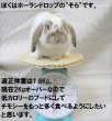 画像5: うさぎ エサ イースター 毛球配慮 グルテンフリー プレミアムレシピ メンテナンス1Kg(250g×4) ラビットフード 野草 ハーブ うさぎ餌 餌 フード (5)