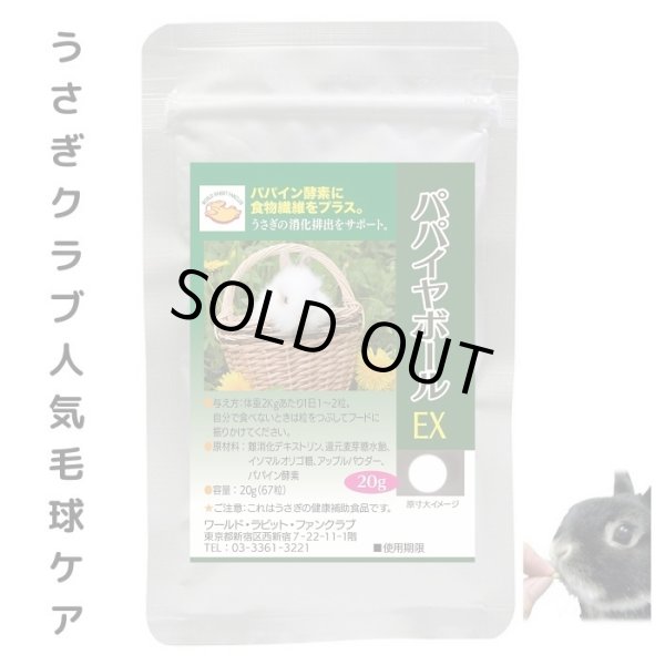画像1: 入荷待ち うさぎファンクラブ パパイン酵素配合 うさぎ 毛球対策サプリメント  パパイヤボール20g 動物病院推奨  (1)