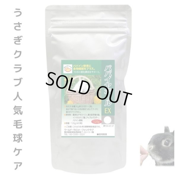 画像1: 入荷待ち うさぎファンクラブ パパイン酵素配合 うさぎ 毛球対策サプリメント パパイヤボール120g 動物病院推奨 (1)