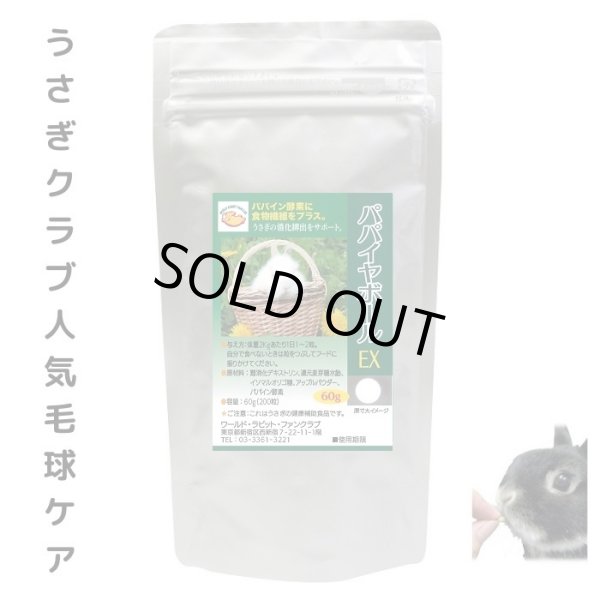 画像1: うさぎ パパイン酵素配合 うさぎ 毛球対策サプリメント パパイヤボール60g 動物病院推奨 (1)