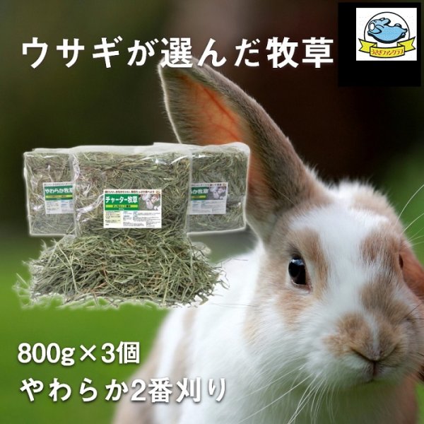 画像10: うさぎ やわらか牧草800g ×3個  チモシー2番刈  ふわふわ あったか 防寒 足腰 繊維質 (10)