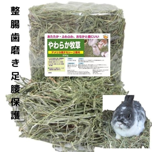 画像1: うさぎ やわらか牧草800g  チモシー2番刈   (1)