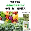画像2: うさぎ 緑黄色野 菜青汁 栄養豊富大好き野菜タブレット15g お手軽ハーフサイズ   (2)