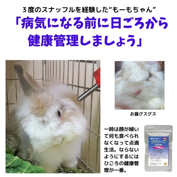 画像4: 25%OFF+クーポン+ポイント5倍 GWうさぎ祭 うさぎ スナッフル リジャーブタブレット20g すこやか呼吸サポート エキナセア カンゾウ ビタミン  (4)