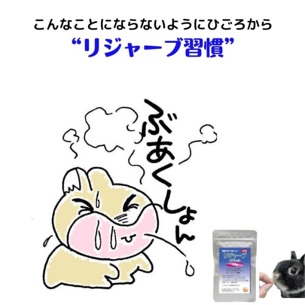 画像3: 25%OFF+クーポン+ポイント5倍 GWうさぎ祭 うさぎ スナッフル リジャーブタブレット20g すこやか呼吸サポート エキナセア カンゾウ ビタミン  (3)
