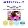 画像2: 25%OFF+クーポン+ポイント5倍 GWうさぎ祭 うさぎ スナッフル リジャーブタブレット20g すこやか呼吸サポート エキナセア カンゾウ ビタミン  (2)