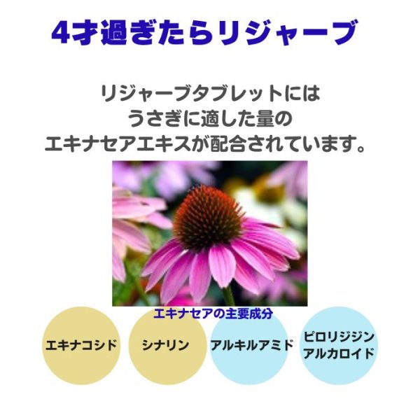 画像2: 25%OFF+クーポン+ポイント5倍 GWうさぎ祭 うさぎ スナッフル リジャーブタブレット20g すこやか呼吸サポート エキナセア カンゾウ ビタミン  (2)