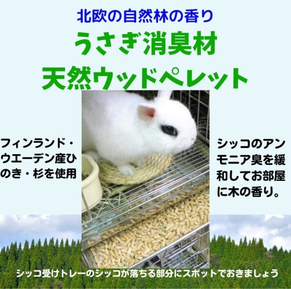 画像1: うさぎ 尿臭 消臭 シッコをさっと吸収してお部屋にいい香り 木のすなにおいとり1.5Kg (1)