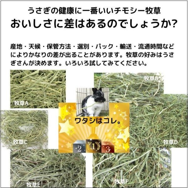 画像5: うさぎ やわらか牧草800g ×3個  チモシー2番刈  ふわふわ あったか 防寒 足腰 繊維質 (5)
