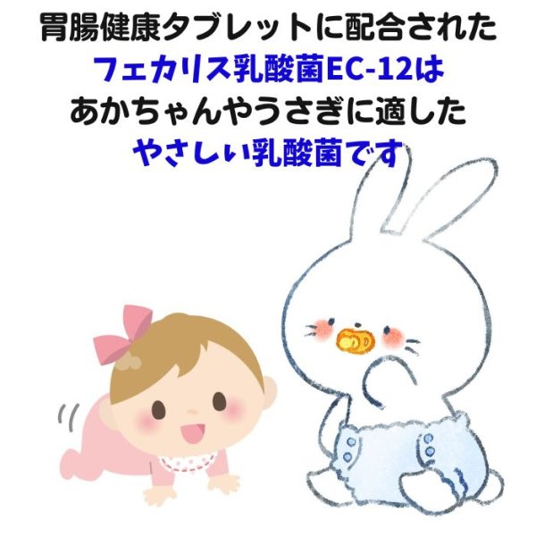 画像5: 乳酸菌EC-12配合 うさぎ快腸サプリメント 胃腸健康タブレットNEO 15g  (5)