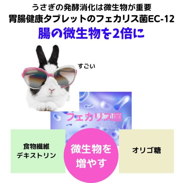 画像6: 乳酸菌EC-12配合 うさぎ快腸サプリメント 胃腸健康タブレットNEO 15g  (6)