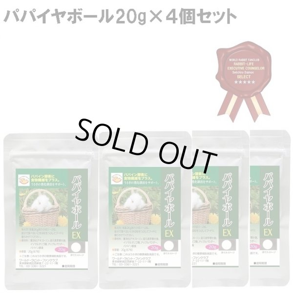 画像1: うさぎ パパイン酵素配合 うさぎ 毛球対策サプリメント パパイヤボール20g×４個セット  獣医さんおすすめ (1)