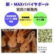 画像8: うさぎ 新MAXパパイヤボール20g 健康食品 毛球症  パパイヤボール パパイン酵素 (8)