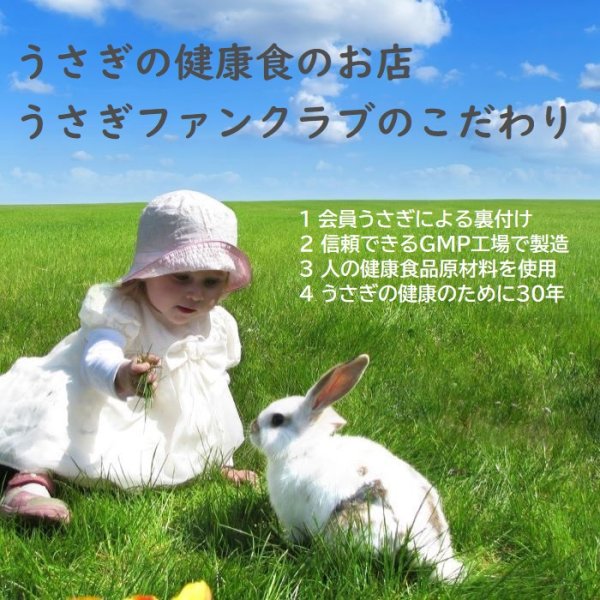 画像8: 32%OFF 創業32周年セール うさぎ ラブレバニーフルーツ20g パイナップルいっぱい おいしい 植物性乳酸菌配合 おなかにいい (8)