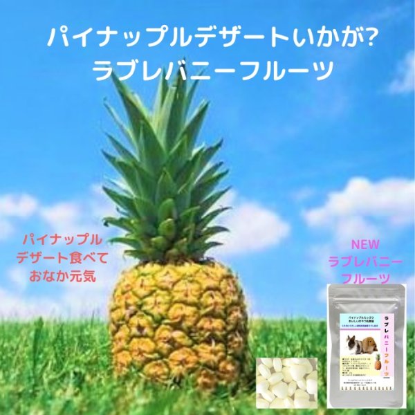 画像7: 32%OFF 創業32周年セール うさぎ ラブレバニーフルーツ20g パイナップルいっぱい おいしい 植物性乳酸菌配合 おなかにいい (7)