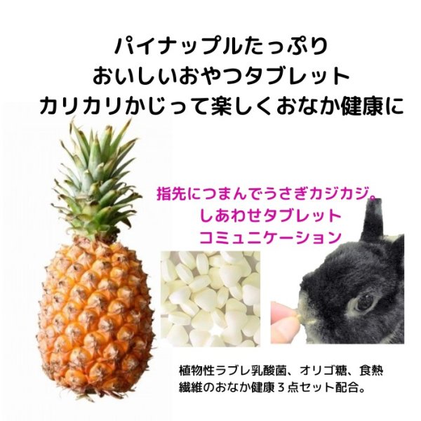 画像1: うさぎ ラブレバニーフルーツ10g パイナップルいっぱい おいしい 植物性乳酸菌配合 おなかにいい (1)