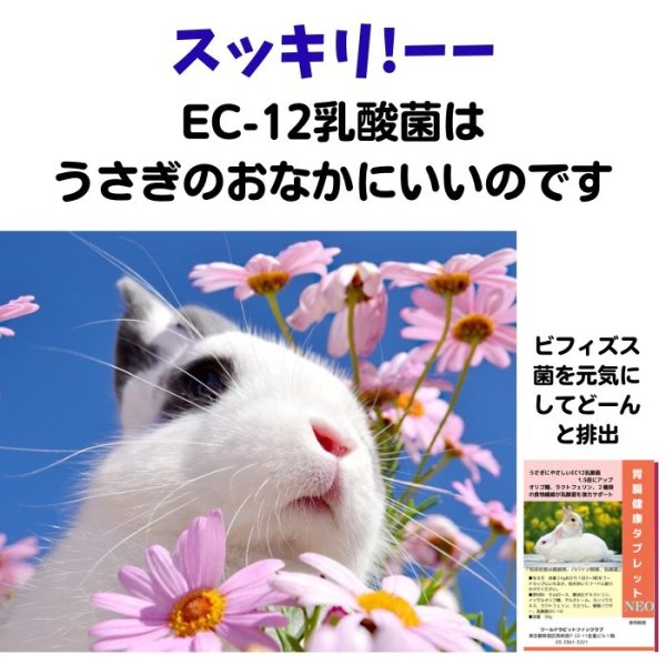 画像1: 乳酸菌EC-12配合 うさぎ快腸サプリメント 胃腸健康タブレットNEO 15g  (1)