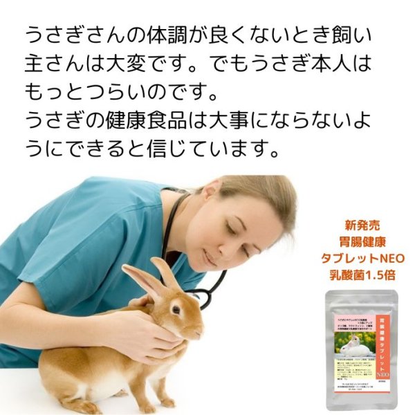 画像9: 乳酸菌EC-12配合 うさぎ快腸サプリメント 胃腸健康タブレットNEO 15g  (9)