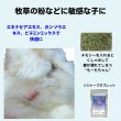 画像12: うさぎ スナッフル リジャーブタブレット4g お試しパック  (12)