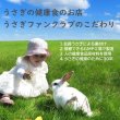 画像10: うさぎ スナッフル リジャーブタブレット4g お試しパック  (10)