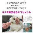 画像4: うさぎ  植物性グルコサミンパウダー12g   飲ませるサプリ うさぎ足腰関節サプリメント (4)