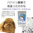 画像21: うさぎ MAXパパイヤボール60g 毛球症  グルテンフリー パパイン酵素1.5倍   (21)