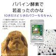 画像14: うさぎ 毛球症 サプリメント パパイヤボール20g×４個セット 動物病院推奨 パパイン酵素  (14)