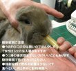 画像4: うさぎファンクラブ 強制給餌 粉末フード60g 繊維質と乳酸菌強化 水に溶いて給餌用注入シリンジで飲ませます 高栄養 高カロリー 易消化 うさぎさんの栄養補給に (4)