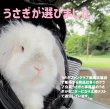 画像7: うさぎファンクラブ 強制給餌 粉末フード60g 繊維質と乳酸菌強化 水に溶いて給餌用注入シリンジで飲ませます 高栄養 高カロリー 易消化 うさぎさんの栄養補給に (7)