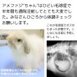 画像2: うさぎ 毛球症 サプリメント パパイヤボール20g×４個セット 動物病院推奨 パパイン酵素  (2)