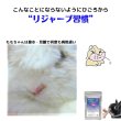 画像14: うさぎ スナッフル リジャーブタブレット10g エキナセア カンゾウ  (14)