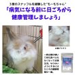 画像3: うさぎ スナッフル リジャーブタブレット120g エキナセア カンゾウ すこやか呼吸 (3)