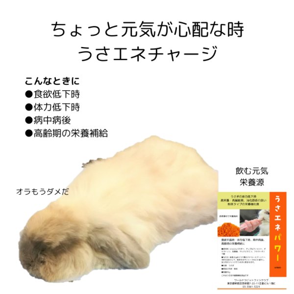 画像1: うさぎ 粉末栄養補助食品うさエネパワー10g 高栄養・高繊維質で消化吸収の良い粉末タイプの栄養補助食 (1)