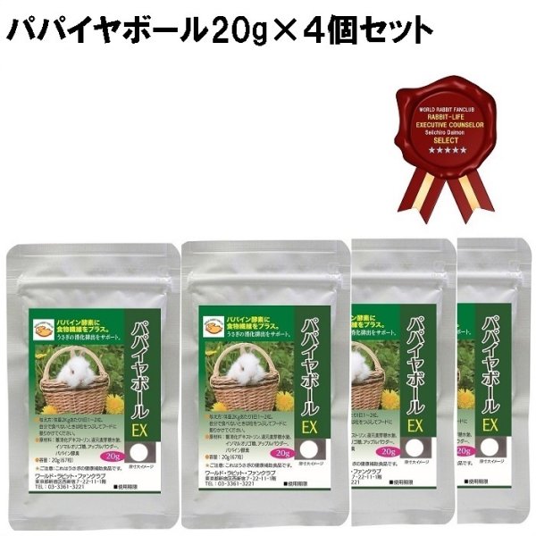 画像1: うさぎ 毛球症 サプリメント パパイヤボール20g×４個セット 動物病院推奨 パパイン酵素  (1)