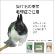 画像5: おいしい 食いつき良し 色香り優良 毛球対策 チモシー１番刈り チャーター牧草800g  新刈  (5)