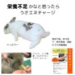 画像6: うさぎファンクラブ うさぎ栄養強化パウダー うさエネパワー10g (6)