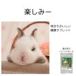 画像1:  うさぎファンクラブ パパイン酵素配合 うさぎ 毛球対策サプリメント パパイヤボール10g  動物病院推奨 (1)