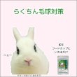 画像2: うさぎパパイン酵素配合 うさぎ 毛球対策サプリメント  パパイヤボール20g×４個セット 動物病院推奨 (2)