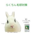 画像1: うさぎファンクラブ  パパイン酵素配合 うさぎ 毛球対策サプリメント パパイヤボール60g 動物病院推奨 (1)