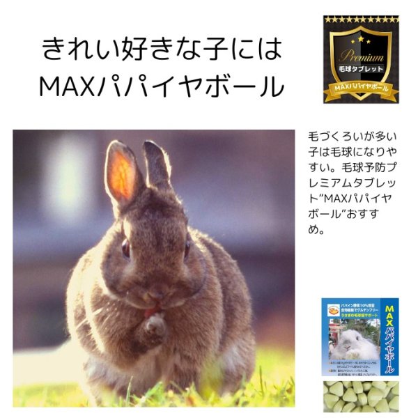 画像1: うさぎ MAXパパイヤボール20g 健康食品 毛球症  パパイヤボール パパイン酵素 (1)