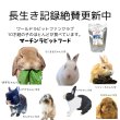 画像2: うさぎ えさ カナダ直輸入 栄養たっぷり おいしい マーチンクラシック800g  (2)