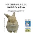 画像2: うさぎ MAXパパイヤボール20g 健康食品 毛球症  パパイヤボール パパイン酵素 (2)