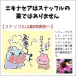 画像8: うさぎエキナセアパウダー10g 飲ませるサプリメント (8)
