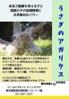 画像7: 39%OFFクーポン対象 うさぎファンクラブ アガリクス配合サプリメント10g 粉剤 飲ませるふりかけるサプリ (7)